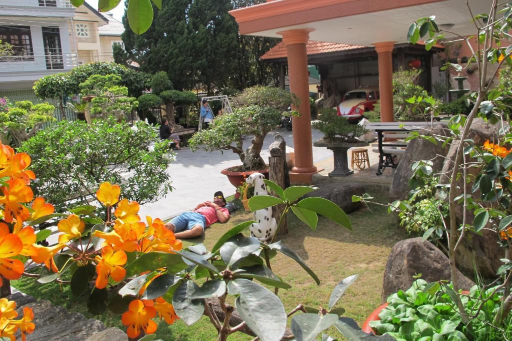 Hotel Pink House